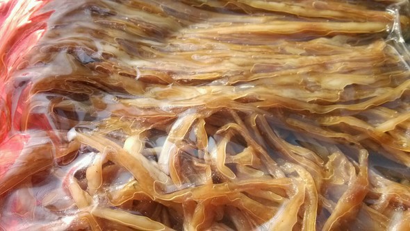 腊鸭肠