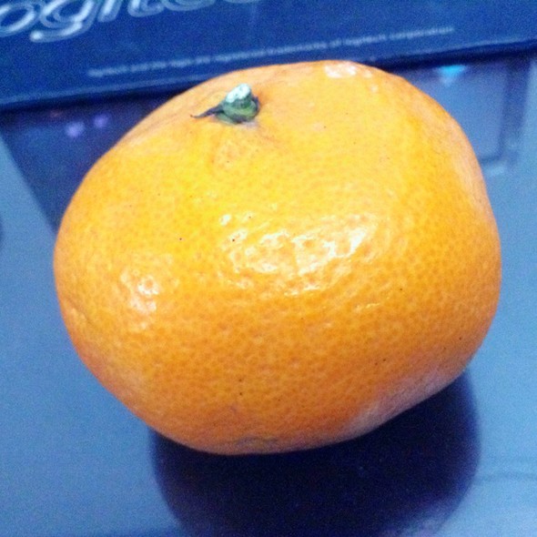 大橘子_秋瓷儿的美食日记