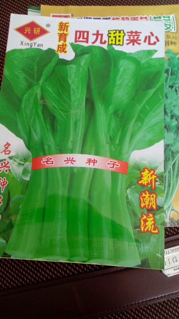 菜籽赞美诗歌6歌谱