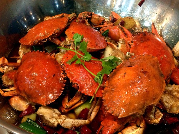缅甸美食_小乖-的美食日记十小说类似青蟹美全食图片