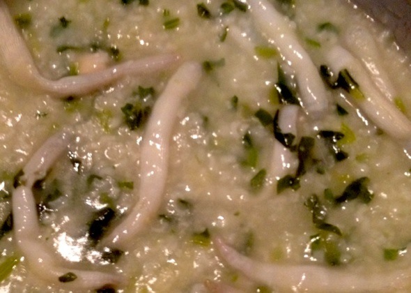 沙虫青菜粥