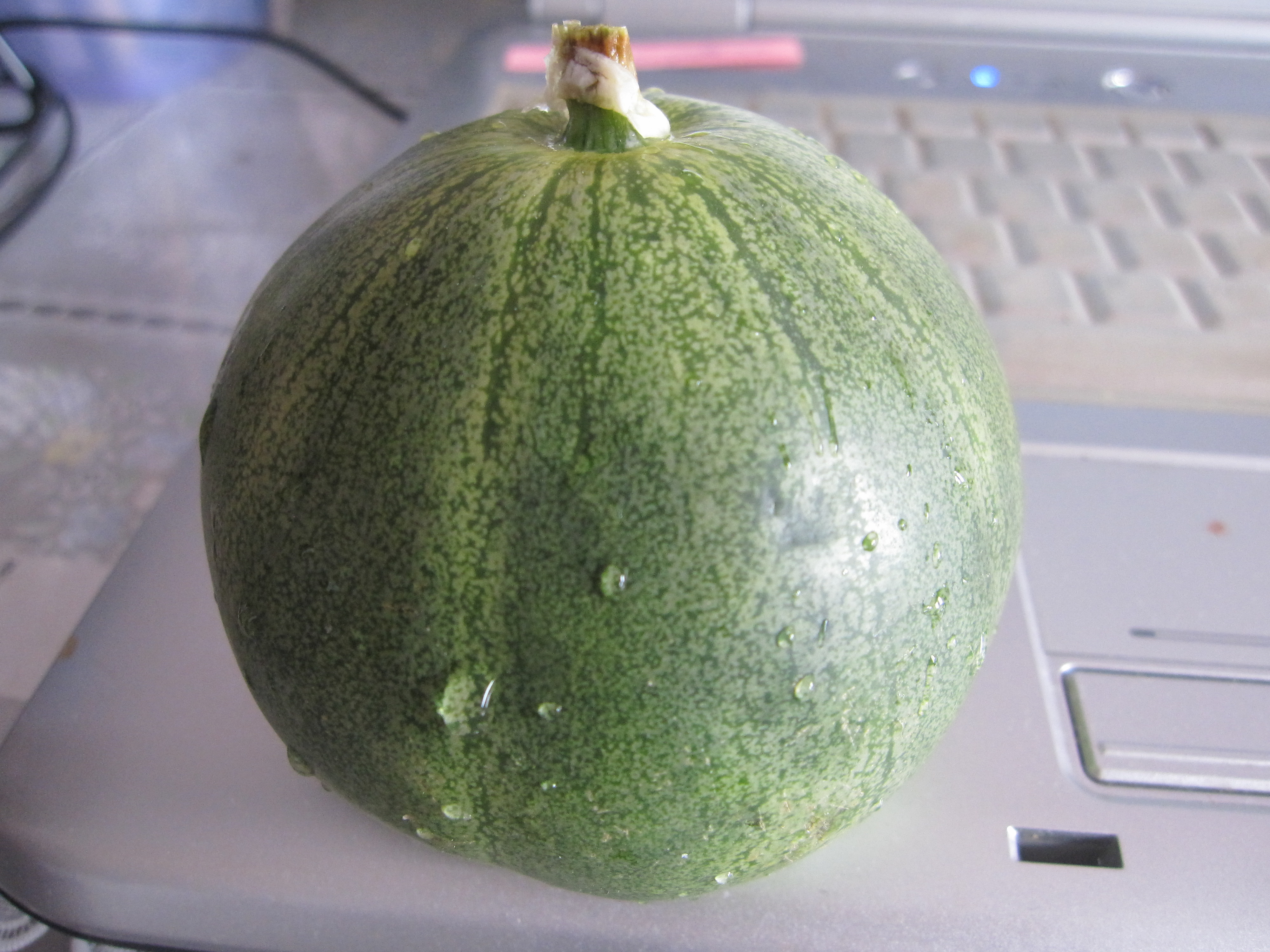香瓜