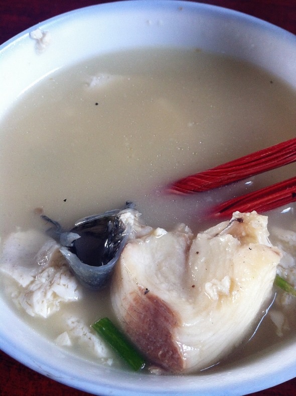 黑鱼豆腐汤