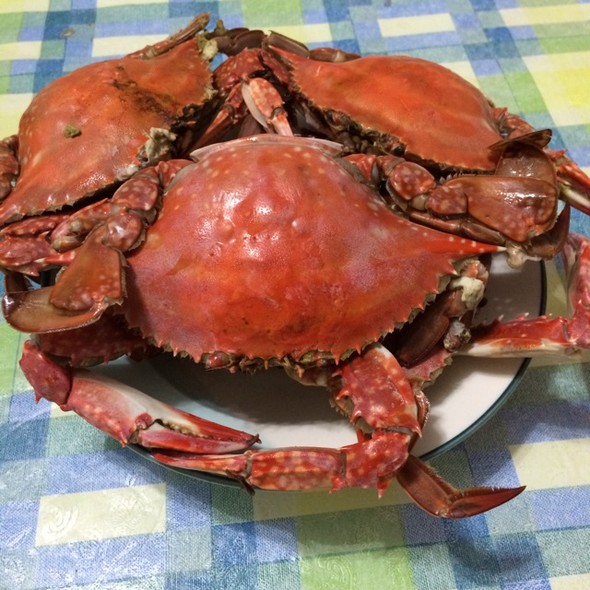 大螃蟹